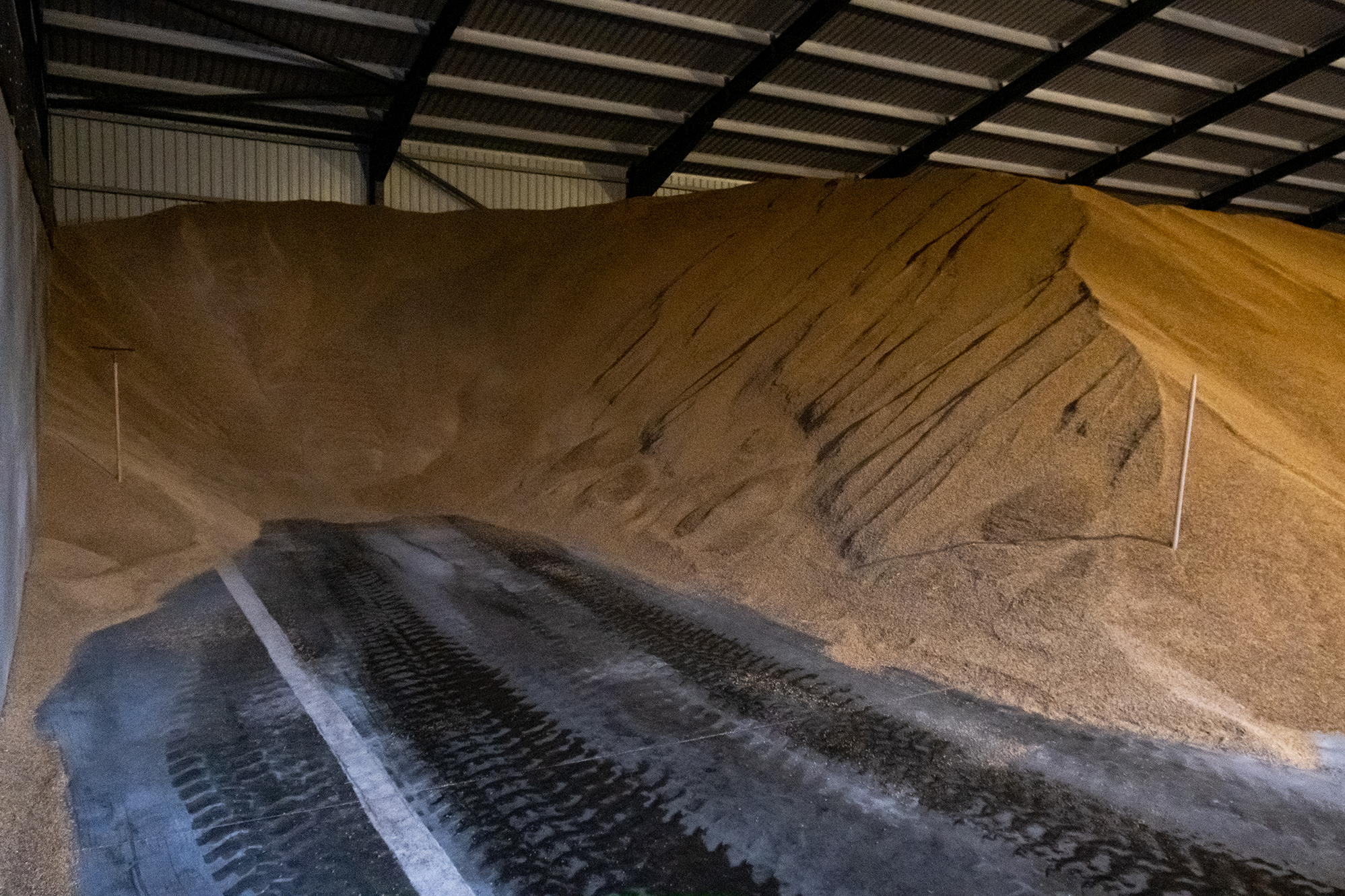 Michael Zoll Getreidehalle_1